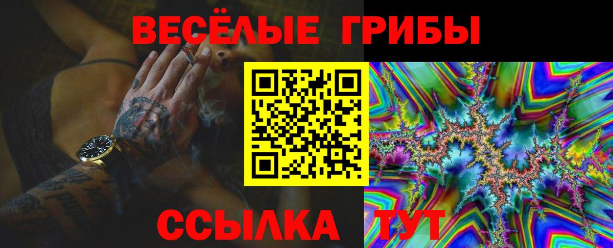 Галлюциногенные грибы Psilocybe  Псилоцибиновые грибы прущие грибы  Отрадный  Вход с VPN 