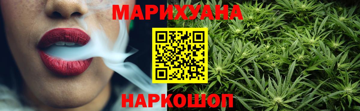 Конопля гибрид Отрадный